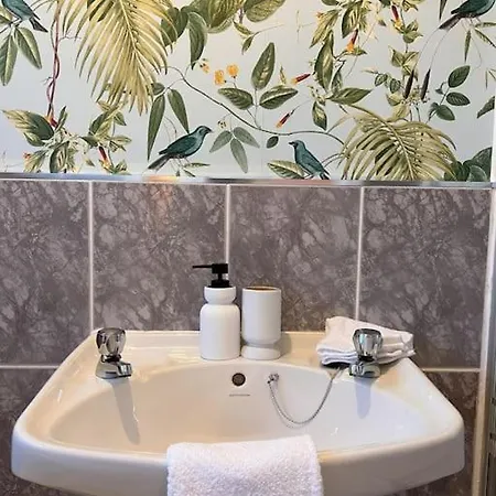 Lily's - Beautiful